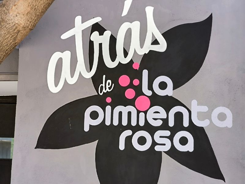 atras-de-la-pimienta-rosa