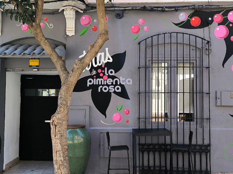 fachada-atras-de-la-pimienta-rosa-benicassim
